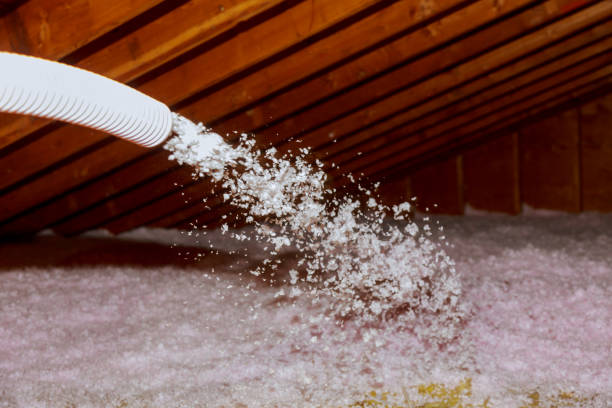 Best Insulation Maintenance and Repair in Reidville, SC