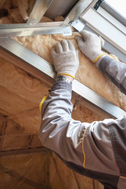 Best Specialized Insulation Services in Reidville, SC