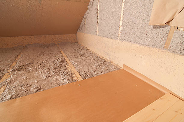 Best Eco-Friendly Insulation in Reidville, SC