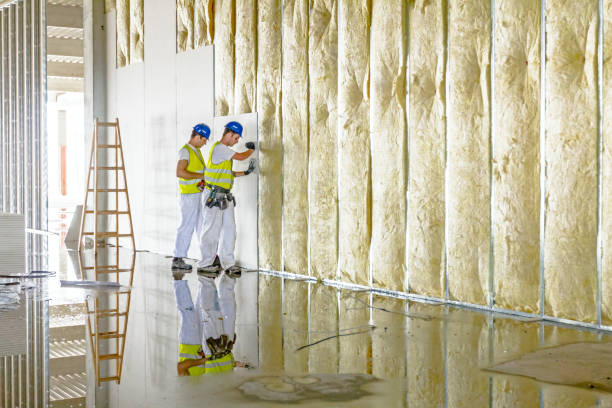 Best Geographic-Specific Insulation Services in Reidville, SC